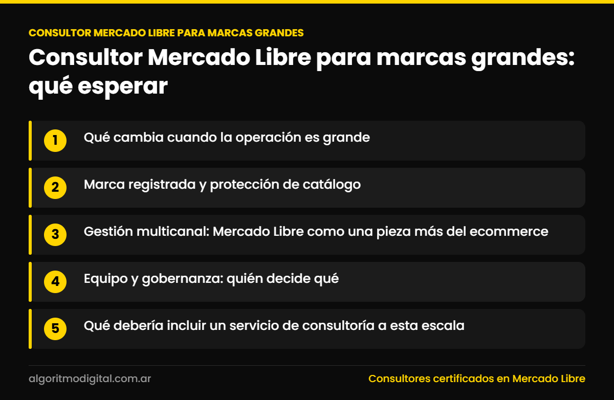 Consultor mercado libre para marcas grandes — Consultor Mercado Libre para marcas grandes: qué esperar